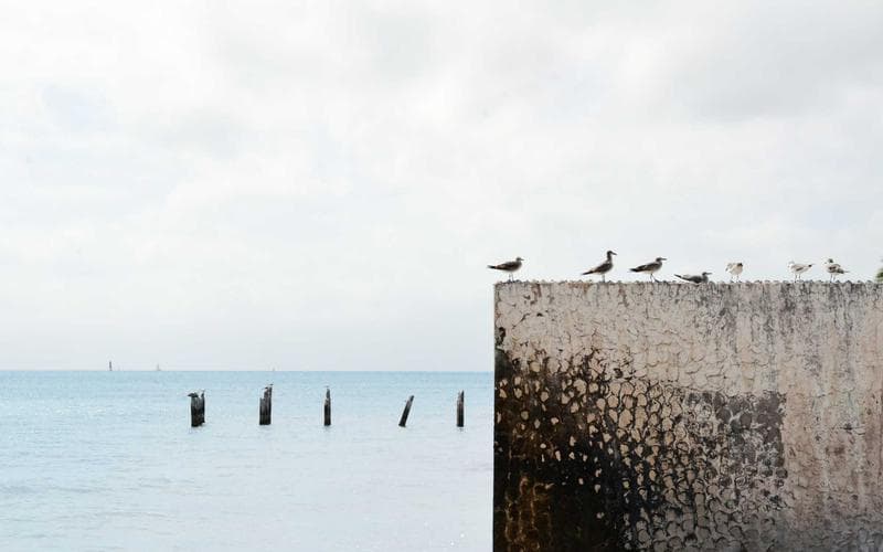 Merkezi Satilik Daire 3+1