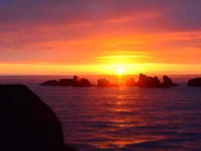 2021 Sedan Arac, Duzgun Kullanilmis